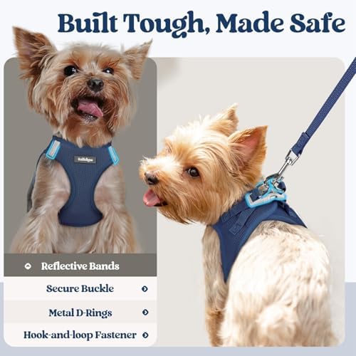 rabbitgoo Dog Harness Medium Sized and Leash Set, Step-in Puppy Pet Vest