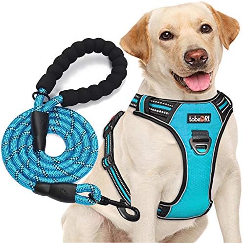 tobeDRI No Pull Dog Harness Adjustable Reflective Oxford Easy Control Medium Large Dog Harness with A Free Heavy Duty 5ft Dog Leash, Blue, L