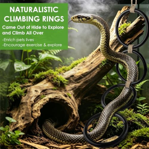 DBNESS Snake Climbing Rings, Ball Python Enclosure Enrichment Ring, Adjustable Reptiles Terrarium Decor Accessories for Corn Snakes, Garter Snakes, Iguana, Lizards, Chameleons, Parrot (Black-2pcs)