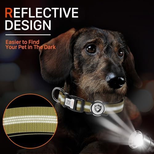 Waterproof AirTag Dog Collar with QR Code Dog Tag, Champagne M