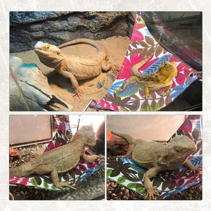 Reptile Climbing Bridge, Bamboo Lizard Ladder Bridge Bearded Dragon Hammock Lizard Lounger Hanging Terrarium Vines Decor Reptiles Habitat Tank Accessories for Gecko Chameleon(4PCS)