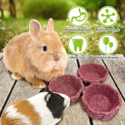 12 Pack Rabbit Chew Toys for Teeth Natural Guinea Pig Toys