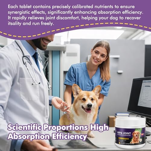 Hip&Joint Support Chews for Dogs,Glucosamine Chondroitin MSM,120 Count