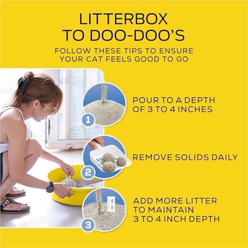 Purina Tidy Cats Lightweight Clumping Multi-Cat Litter, 17 lb Box