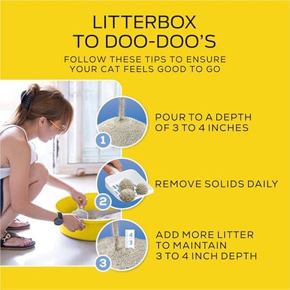 Purina Tidy Cats Lightweight Clumping Multi-Cat Litter, 17 lb Box