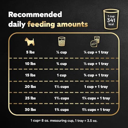Cesar Small Breed Dry Dog Food, Porterhouse and Spring Vegetables, 5 lb