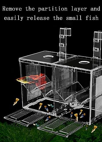Aquarium Breeder Box, Isolation Hatchery for Small Fish Fry Hatchery