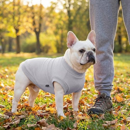 3 Pack Dog Shirt for Small Supplies Functional Waffle Dog Clothes Warm Soft Sweatshirt Outfit for Dogs Cats Pet Apparel