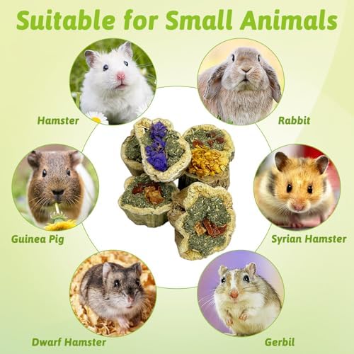 BNOSDM Rabbit Chew Toys for Teeth Natural Papaya Chinchilla Treats(3.5oz)