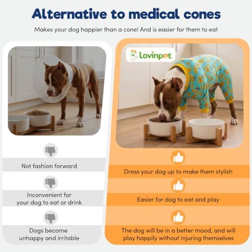 LovinPet Dog Pitbull Pajamas, Mint Flower Print, Yellow, M
