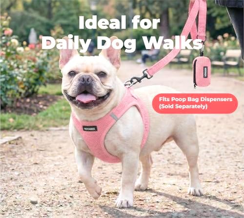 Best Pet Supplies Voyager Nylon Dog Leash - Pink, Small