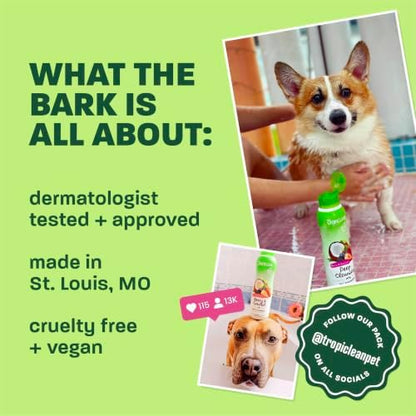 TropiClean Deodorizing Dog Shampoo, Raspberry Lime Scent, 20oz