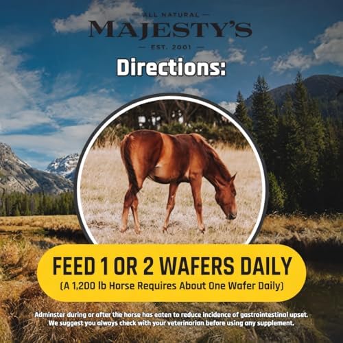 Majesty's Flex XT Wafers - Superior Horse / Equine Joint Support With Increased Supplement Levels - Glucosamine, MSM, Yucca, Vitamin C - 60 Count (2 Month Supply)