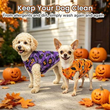 BINGPET 2PCS Dog Halloween Costume, Soft Cotton Puppy Shirt, Bat & Pumpkin