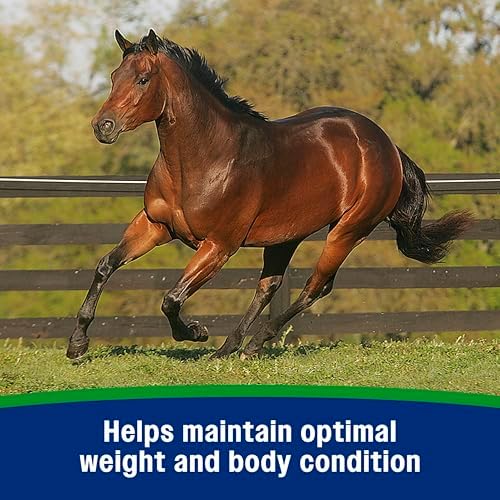 Farnam Weight Builder Weight Support Supplement for Horses, 30 Day Supply