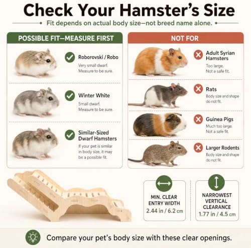 Small Size Hamster Explorer Set - Dwarf Hamster Burrow Starter and Bedding Hideout for Roborovski and Winter White Hamsters