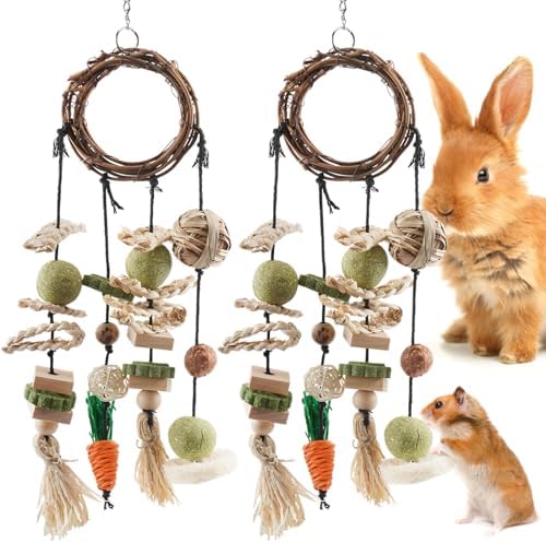 Bissap Bunny Chew Toy, 2 Packs Rabbits Cage Hanging Chew Toys and Treats Rattan Ring with Snacks for Guinea Pigs Chinchillas Hamsters Rats and Other Small Pets Teeth Grinding
