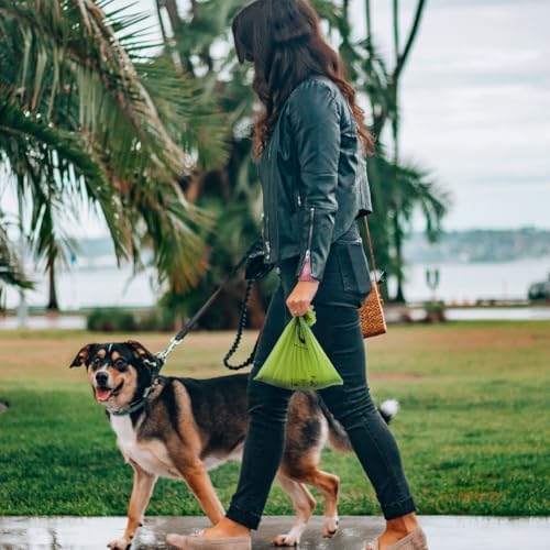 Certified Home Compostable Dog Poop Bags, 120 Plant Based Bags (8 Rolls)
