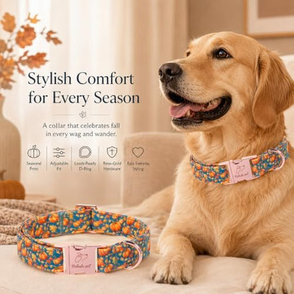 Fall Pumpkin Dog Collar, Cute Thanksgiving Dog Collar - Soft Cotton Autumn Puppy Collars, Adjustable Heavy-Duty Metal Buckle Pet Collars for Small Medium Large Boy Girl Dogs XL