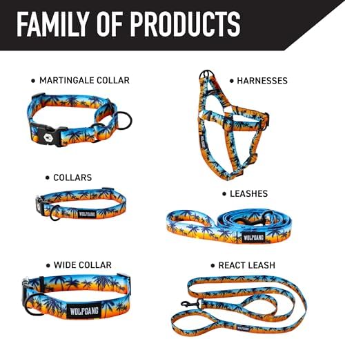 SunsetPalms Dog Leash 5/8" x4'