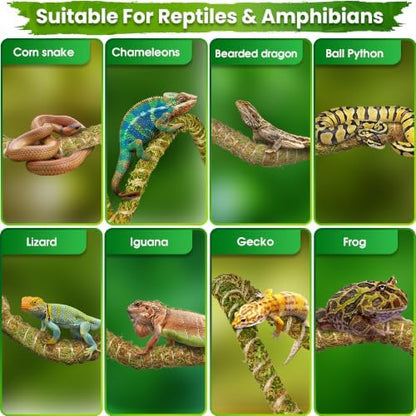 Duspro 6.5FT Reptile Vines for Climbing, Bendable Branch for Reptile