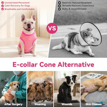 cyeollo Dog Surgery Recovery Suit, Surgical Onesie for Female & Male Dogs