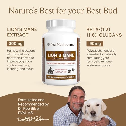 Real Mushrooms Lion's Mane Supplement for Cats and Dogs, 120ct