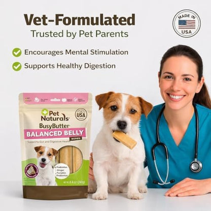Pet Naturals BusyButter Balanced Belly Peanut Butter Bones, Rawhide-Free Chews for Small Dogs, Long Lasting Chew Bones, Probiotics and Pumpkin for Gut Health, 22 Count