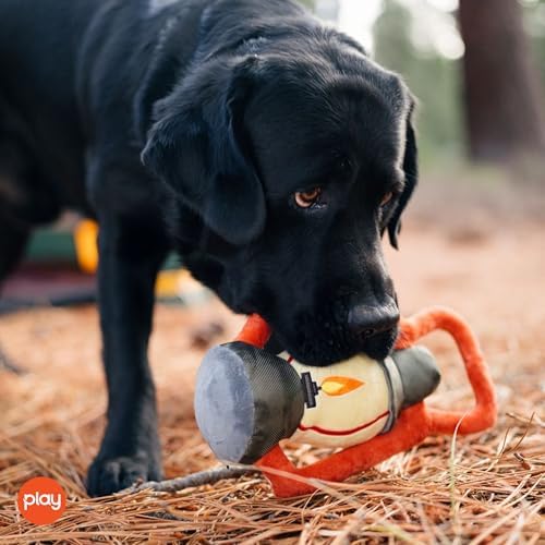P.L.A.Y. Cute Plush Dog Toys - Camping, Outdoor Themed Durable Squeaker Chew Toy, Great for Puppies & Small, Medium, Large Dogs - Machine Washable, Recycled Materials (Camp Corbin Pack Leader Lantern)
