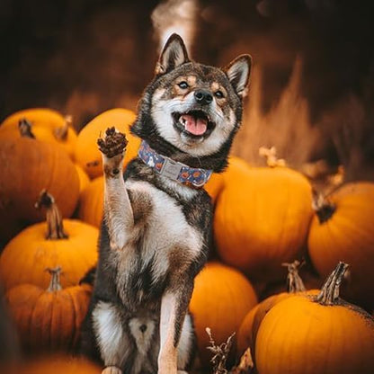 Halloween Dog Collar for Large Dogs - Cute Halloween Ghost Pumpkin Dog Collars, Adjustable Heavy Duty Pet Holiday Collar with Metal Buckle L