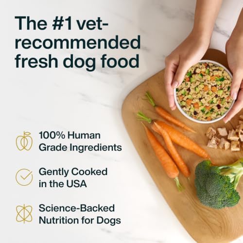 JustFoodForDogs Pantry Fresh Wet Dog Food Complete Meal or Dog Food Topper, Turkey & Whole Wheat Macaroni Human Grade Dog Food Recipe - 12.5 oz (Pack of 12)