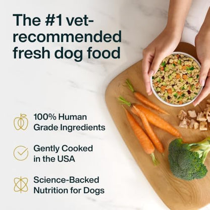 JustFoodForDogs Pantry Fresh Wet Dog Food Complete Meal or Dog Food Topper, Turkey & Whole Wheat Macaroni Human Grade Dog Food Recipe - 12.5 oz (Pack of 12)