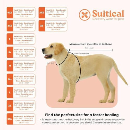 Suitical - The Original Dog Surgery Recovery Suit - Replace E-Collar & Cone - Spay, Neuter, Wounds, Prevent Licking - Medium+ - Neck to Tail 24–28.3in - Chest 29-39in - Weight 48-60lbs Sandstone Grey