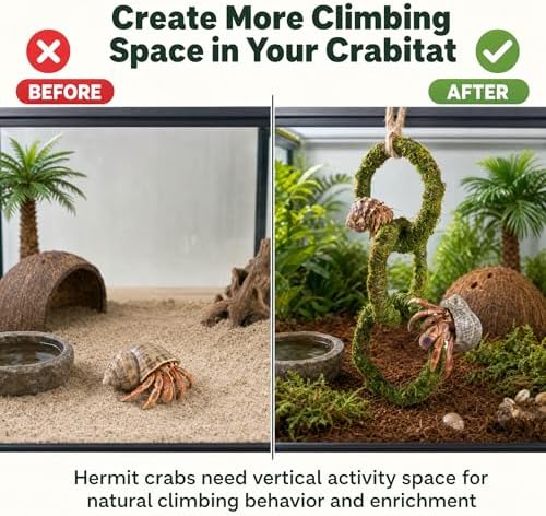 Hermit Crab Climbing Toy, Hanging Moss Climbing Rings for Hermit Crab Tank Accessories, 11 in Crabitat Decor with Rope, Textured Hermit Crab Climbing Accessory for Small Hermit Crabs