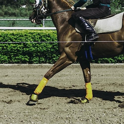 Horse Polo Wraps 3m Equestrian Leg Bandage Wrap Set of 4 Packs