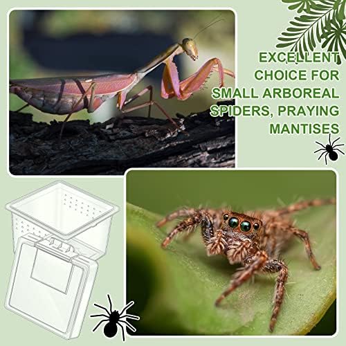 20 Pcs Insect Spider Terrariums Breeding Box Small Reptile Hatching Container Transparent Cricket Keeper Breeder Box Feeding Spider Cage with Lid for Scorpion Gecko Tortoise Centipede Tarantula