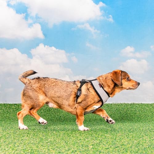Puppia Amatus Dog Harness A (Over-The-Head) Fashionable Houndstooth Pattern Spring Summer Harness for Small and Medium Dogs, Black, X-Large