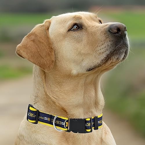 Pets First Collegiate PET Collar New Version Michigan Wolverines Dog Collar, Size Small. Best Sports Team Color for Dogs & Cats. A Shiny & Colorful Dog & Cat Collar Licensed by The NCAA