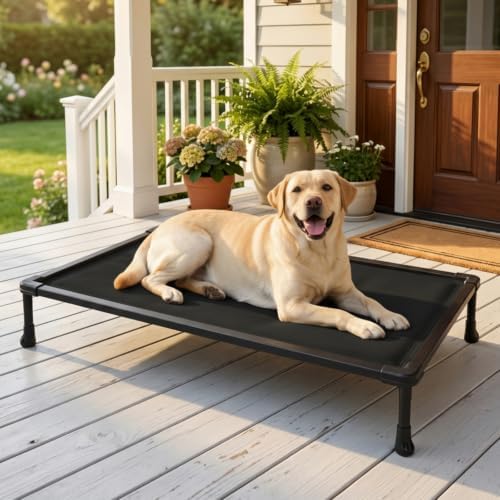 Veehoo Chew Proof Elevated Dog Bed, Padded Indestructible Raised Dog Cot