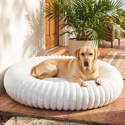 Donut Dog Bed for Large Dogs - Pet Bed with Removable Cover, Self-Heating Winter Pet Beds for Medium & Big Dogs, Egg Tart Design (L) Dog beds Medium Sized Dog self Warming