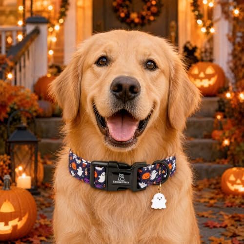 Lionheart glory Dog Collars Fall Halloween Pumpkin Collar Dog Heavy Comfortable Adjustable Dog Collar for Large Dogs, Ghost, Pumpkin