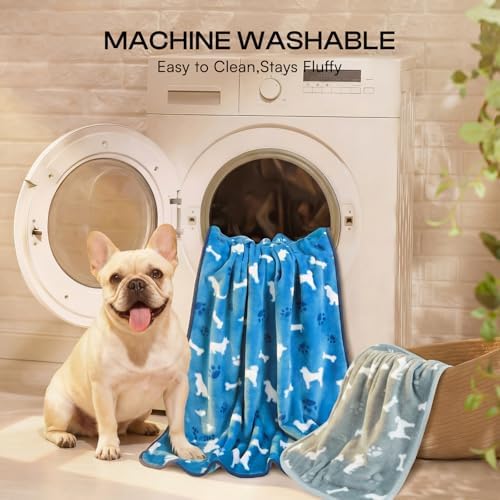 Luciphia Dog Blanket 3 Pack, Soft Cozy Fleece Throw for Puppy Cat,41"x31"