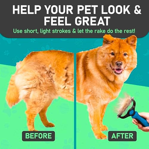 Maxpower Planet Dog Rake and Brush Set for Shedding, Undercoat & Mats