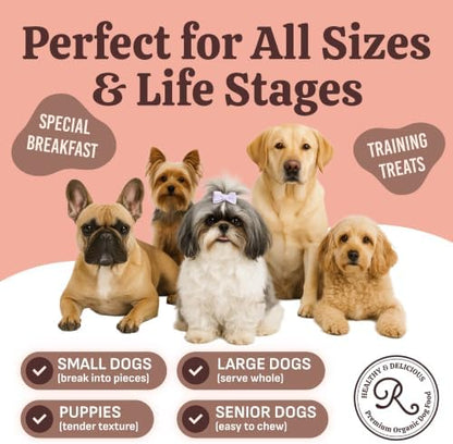 Rondi's Kitchen Organic Dog Pancake Mix, Chicken & Peanut Butter, Bone Broth
