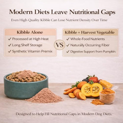 Natural Dog Company Harvest Vegetable Granules Dog Food Topper – Pumpkin Digestive Support Granules for Dogs, Fiber-Rich Superfood Blend for Gut Health, Holistic Care & Prebiotic Fiber, 8oz Bag