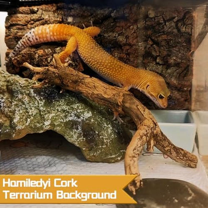 Hamiledyi 6PCS Cork Terrarium Background 15.7x11.8in Natural Large Cork Bark Backdrop Reptile Climbing Mat Tank Accessories Habitat Decor for Spider Lizard Chamelon Turtle Beared Dragon