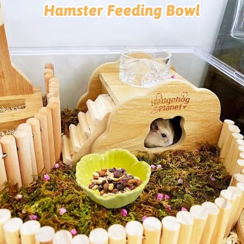 Tfwadmx 2 Pcs Hamster Food Bowl, Ceramic Dwarf Hamster Food Bowl Feeder Water Rat Bowl Small Animal Food Dish for Golden Bears, Hedgehogs, Dutch Pigs, Parrots (Yellow)