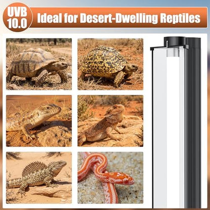 T5 UVB 10.0 Reptile Light Fixture Combo Kit (34Inch(Large))
