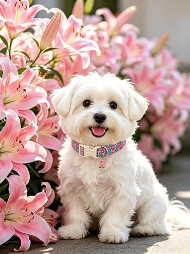 Lionet Paws Floral Dog Collar Summer Lily Collars with Pink Lilies Pattern Pendant - Female Girl Dog Collar for Medium Large Dogs L