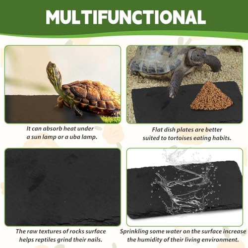 kathson 2 PCS Reptile Basking Platform (7.9 x 3.9 inches), Natural Rock Plate Turtle Food Bowl Feeding Dish Resting Terrace Habitat Decor for Tortoise Turtle Lizard Bearded Dragon Crested Gecko Snake